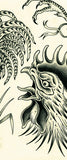 The Bird Book - SCRATCH & DENT