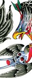 The Bird Book - SCRATCH & DENT